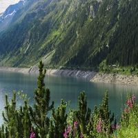 牙黄口气重用什么牙膏好？4款温和去渍牙膏亲测美白不酸牙