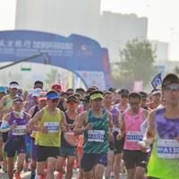让五追七!郑钦文打崩前赛会冠军,149年首人从资格赛杀入美网八强