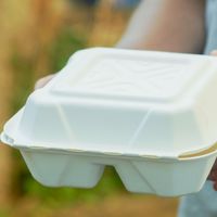 微塑料2小时穿透血脑屏障，家中10种日用品是主要来源