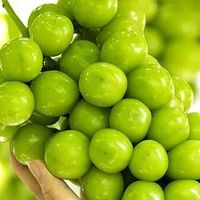 阳光玫瑰葡萄的感官体验与风味解析