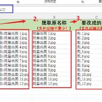置顶4446赞的答案只有记事本10行，5篇"文件管理神器"却是AI代写的广告：批量改文件名前，先分清4条路线哪步"能反悔"