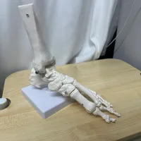 3771赞的拉伸爆帖和11赞的"洞洞鞋别穿"热评，说的是同一种脚跟痛吗：白露起晨起第一步这脚疼，先看清"什么时候疼"，再决定花0块、80块还是200块一次