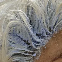 白金之后的九十天，才是真正的考试：补漂窗口、接口色差，和那笔"不限次漂发"的账