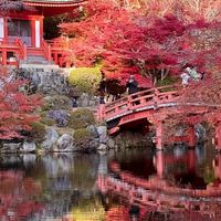 日本2026第1回红叶预测发布:“稍晚”是方向不是日期,9月这份预测其实只够你定两件事