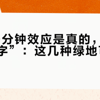 公园20分钟效应是真的,但它有条“小字”:这几种绿地可能不算数