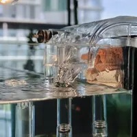 新缸死鱼是有时刻表的：翻完8月底到9月这波开缸帖，"养水3天下鱼"和"42天建硝化"吵的根本不是同一件事