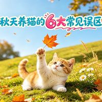 白露养护、读懂猫咪边界 | 养猫9.7日报