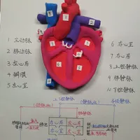 57岁全马255业余大神睡梦中心梗离世：手表测不出的那两笔心脏账——这份按年龄分档的筛查清单值得收藏