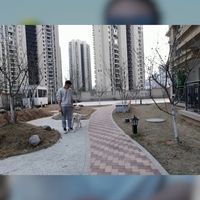 幼犬社会化、城市遛狗 | 养狗9.7日报