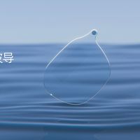 罗永浩访谈戴的眼镜不能拍照：观众扒出 599 美元的 Even G2，先别急着给代购交溢价