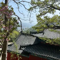 全真巡礼别只盯着三大祖庭：真正的开宗现场在胶东昆嵛山，烟霞洞免票，但没车真到不了