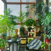 入秋搬植物进屋前，先看完这些"花架翻车"帖：我把哪款能买、哪样DIY真省钱、怎么摆不像苗圃理清了