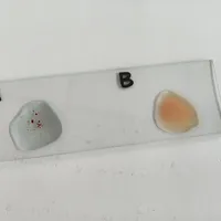让你按血型减肥的帖子是AI批量生成的:血型发现125年,管不了你的嘴,真管得了你的命