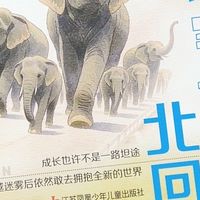 不止是故事！读懂自然与亲情的成长好书