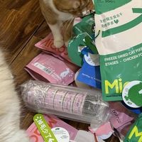 2026年选猫主食冻干,认准自有工厂才安心