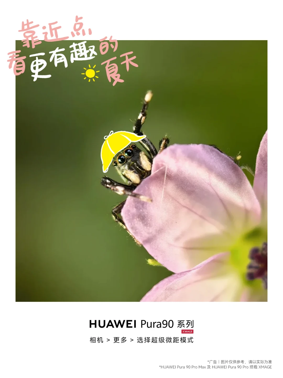 华为Pura 90系列5厘米微距怎么用?近距离拍摄先抓住这四点