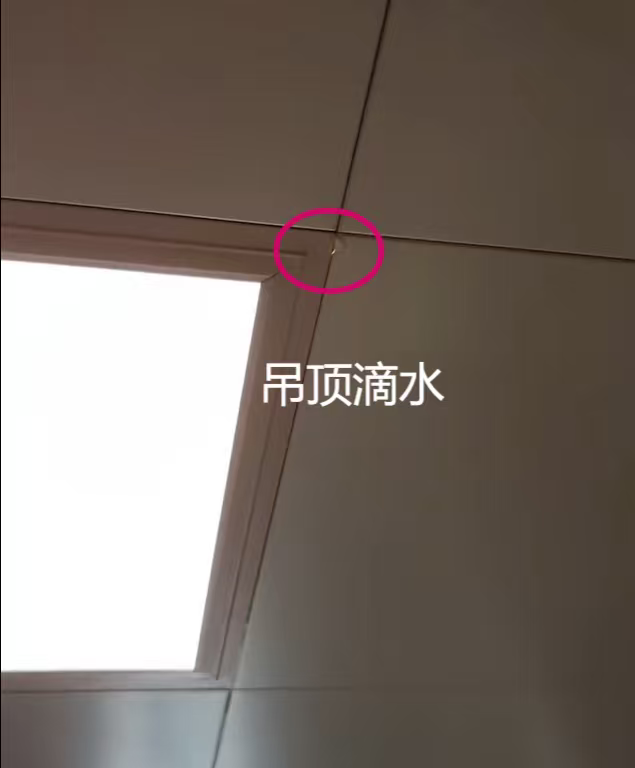 查漏报告:天花里面有线管没水管，与楼下无关！