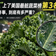 喝甘蓝汁腹泻？你的