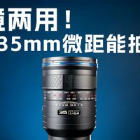 一镜两用!老蛙35mm微距能拍啥?
