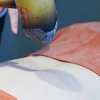 吃天麻就不做梦？热搜都吵翻天了，老师傅却劝我先别跟风