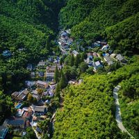 暑期出游人次创新高，全国民宿平均入住率却跌至36%