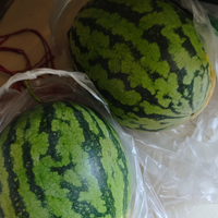 抱回两个大西瓜，差点把自己送走