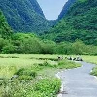 通勤香氛党必看：3款护发精油留香体验测评
