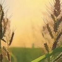 鸡皮越搓越粗糙｜4款日常嫩肤亲测，去角质修护净润亮肤不拔干
