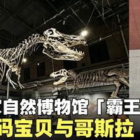 暴龙兽也是龙！00后掌管博物馆，变看展天花板？
