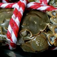 🦀蟹季实测：6种大闸蟹吃法横评，从清蒸到蟹粉拌饭全攻略