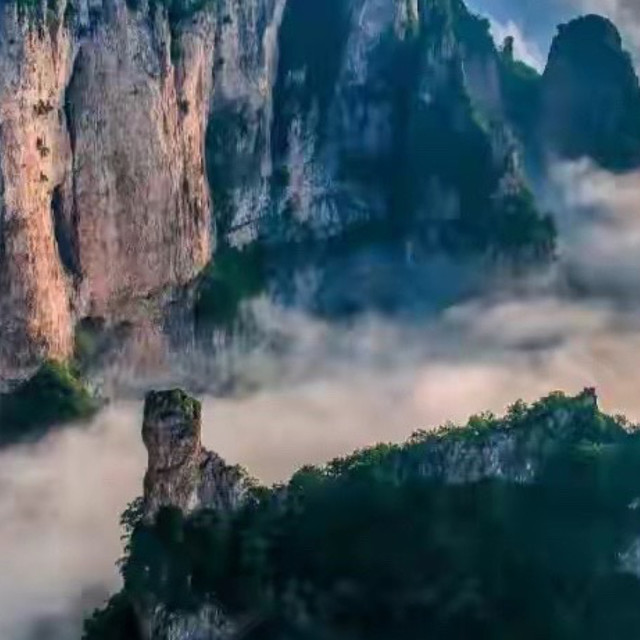 烫染受损想顺滑的懒人党，4款护发精油这样用更柔顺防毛躁