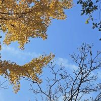 2.7万赞抽筋教学让你勾脚，144赞热评却说脚掌贴地：白露起先分清3种抽法，再决定花0块、几块还是挂号