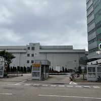 2026年关咏荷只被证实露面4次，"离婚真相"却在刷屏：给老港迷的真假近况清单