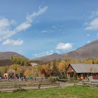 去阿勒泰看秋天的“避坑帖”刷屏了：有些帖，就是你要避的坑