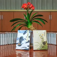 小红书评论区30个人在吵"买金庸哪个版本"：三联、新修、朗声、连载，我把版本账挨个核完