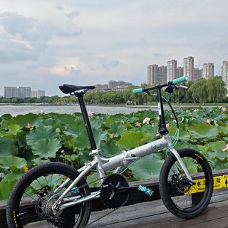 3000元买大行整车,还是风行自组?本周两台装车帖吵出95条评论,我把十几份组车实录的钱路、4个坑和1条止损线理出来了