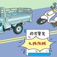 没碰他，赔了23万还获刑一年：7—9月这几份无接触判决，把“没责任”的老黄历撕了