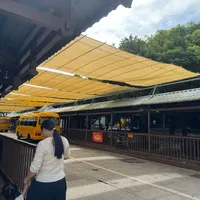 香花券今年9月全变成0元，国庆门票仍要180：普陀山免香花券后的第一个国庆，先对完这笔240元账和三张日期