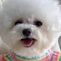 2026年9月小型犬选粮攻略：5款热门狗粮实测，帮你实现选粮自由