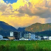 防脱增发固发一起要的人：洗发水别只顾一个词，回头还得看日常！