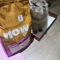 猫咪掉毛+泌尿弱?刚需进口猫粮拿捏住✨