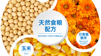 中秋送长辈别只送月饼了，这盒黄天鹅可生食鸡蛋我连送了3家