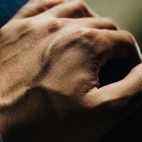 运动后想养软骨的人该吃什么;修复营养品先看证据边界再决定