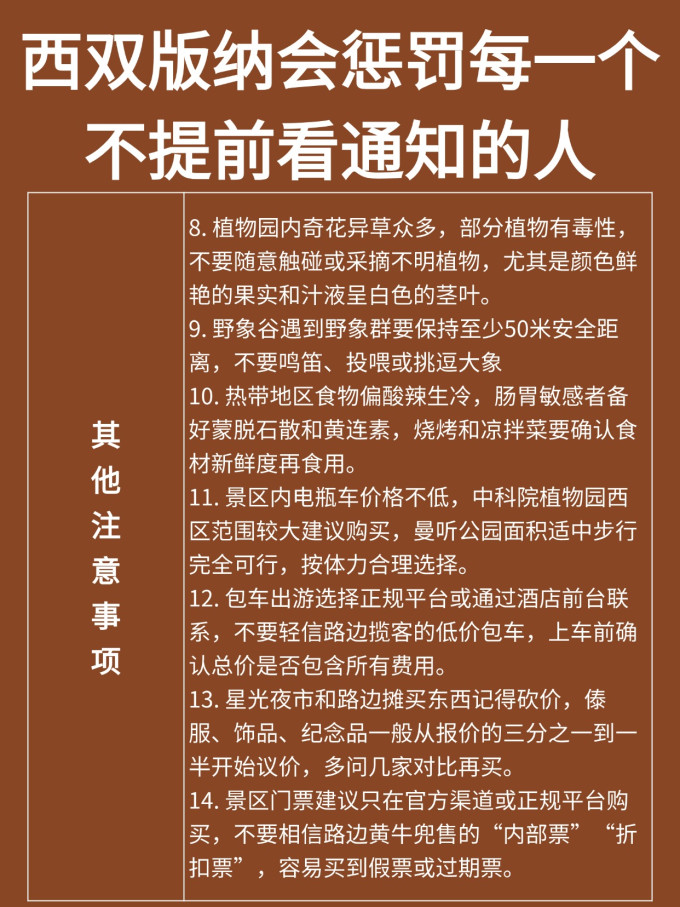 国内度假