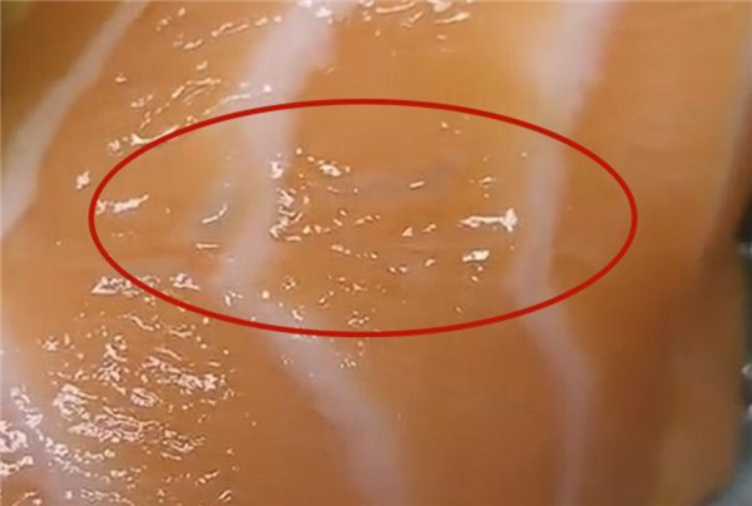 被投诉三文鱼出现寄生虫!山姆回应:脂肪线 系正常鱼肉组织