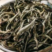 秋天适喝白茶，尤其是这3个节气采摘的茶，懂行的已开始入手了
