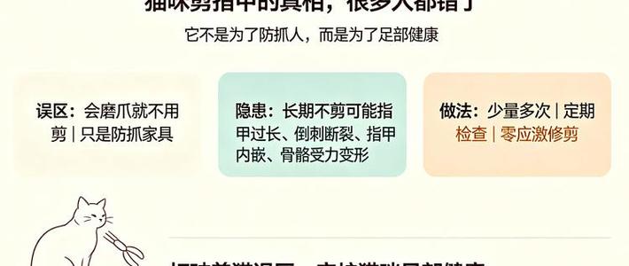 猫忍痛你以为是乖：养猫护理避坑指南，每年省下几千医药费