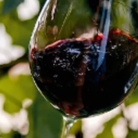 🍷进阶干红首选！香气层次丰富不踩雷