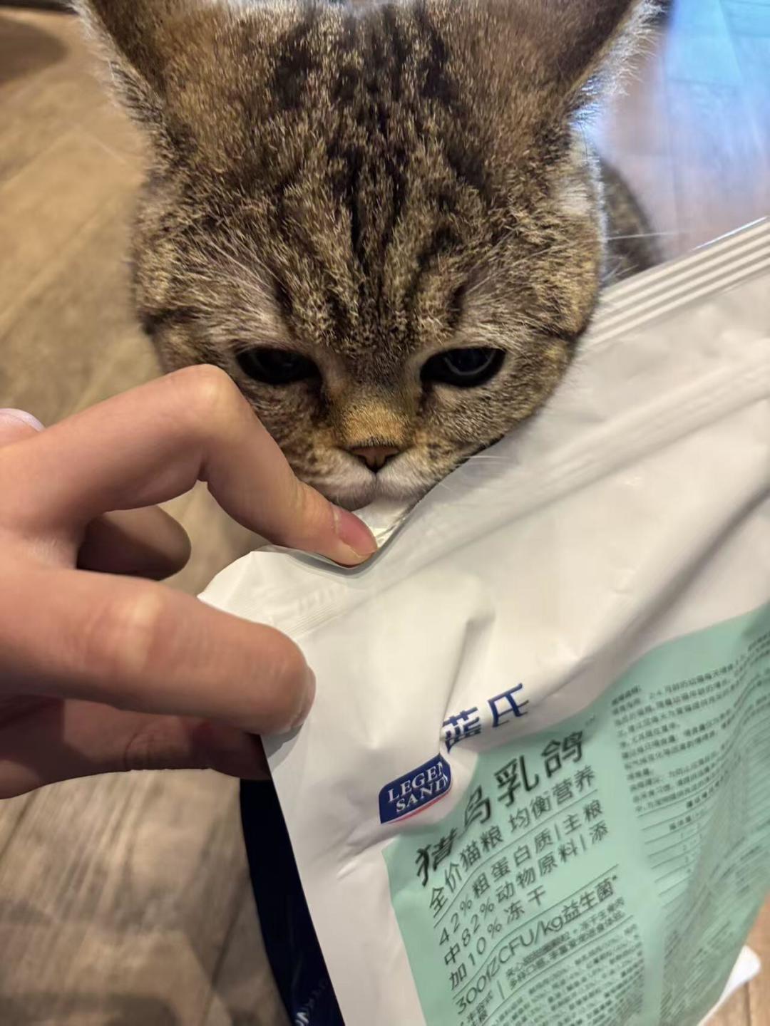 上千只猫患病、检测却全合格：“猫粮致瘫风波”僵持满月，猫主人先做这4项自查再下结论