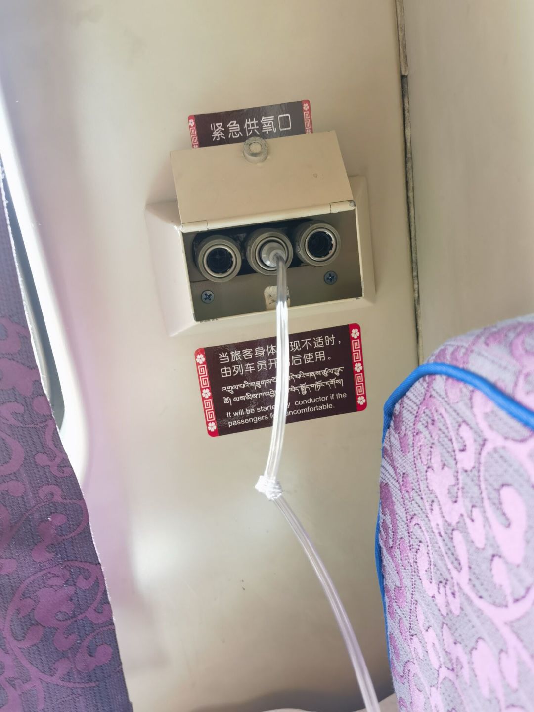 首个“高反预防药”获批:火车进藏党囤的红景天,要不要扔?